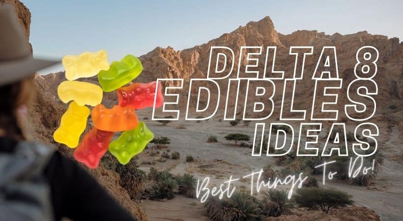 Delta 8 Edibles Ideas - Chief Shop USA