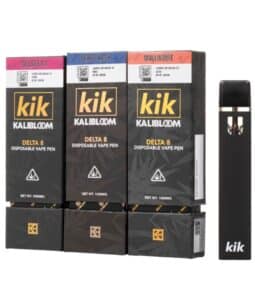 Kik Black 1g disposable
